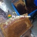 2 lít mật ong giá tại vườn miễn phí giao hàng
